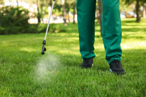 Pest Control Cost in Pimmit Hills, VA