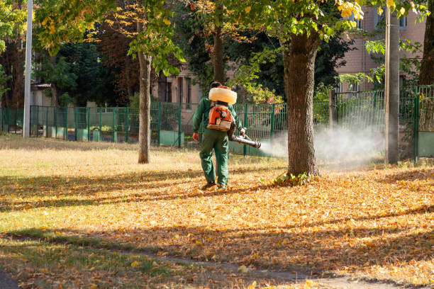 Pest Prevention Services in Pimmit Hills, VA